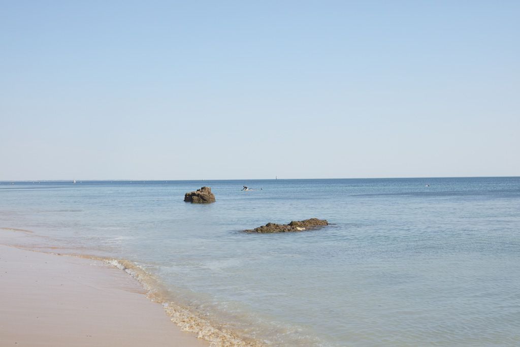 L'eau de mer : quand la nature vous offre le meilleur pour votre Santé !